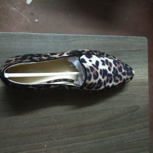 flat shoe